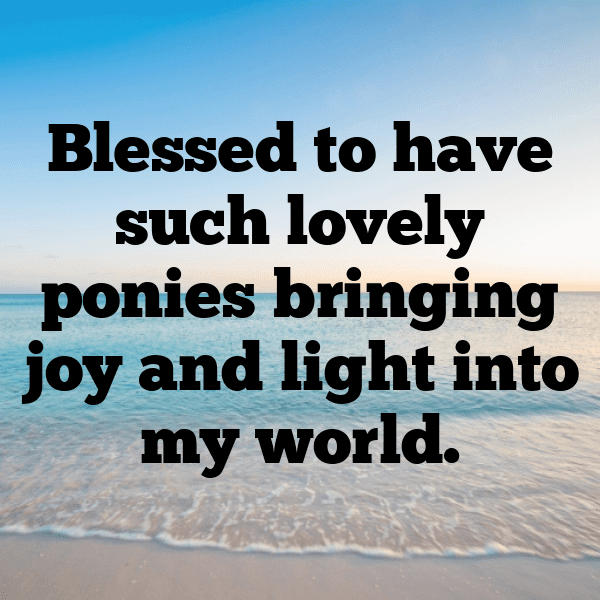 Pony Captions Photo For Instagram-v7z3pC