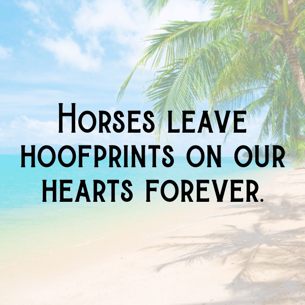 Pony Captions Photo For Instagram-y2UFvs