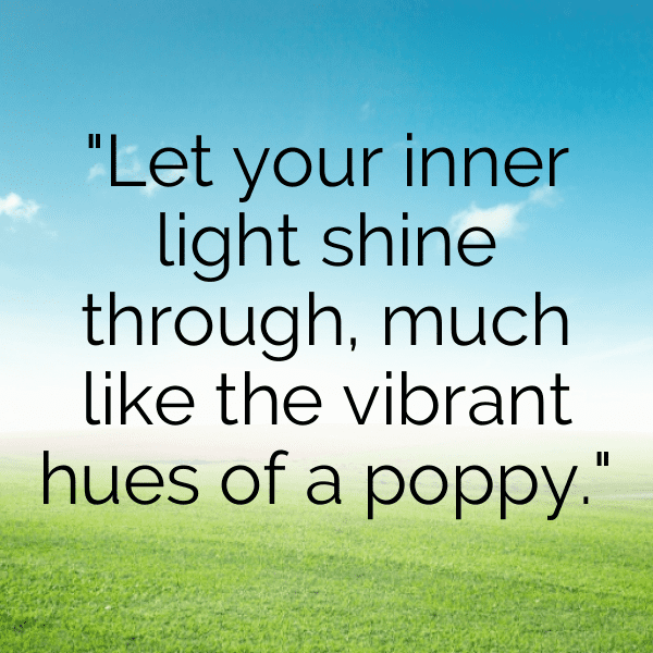 Poppy Captions Image For Instagram-eM1Lhp