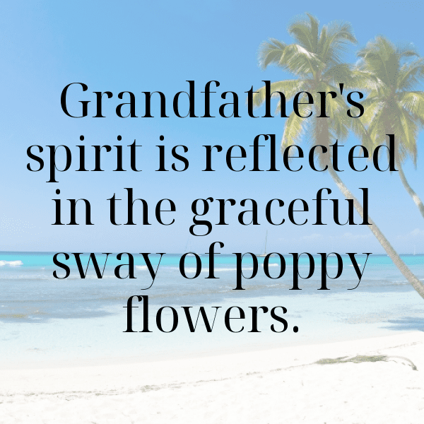 Poppy Captions Image For Instagram-iWuvOQ