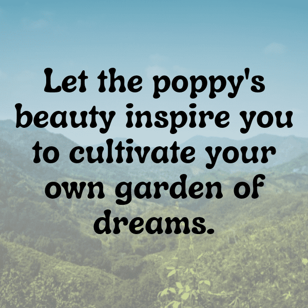 Poppy Captions Image For Instagram-OIBmf7