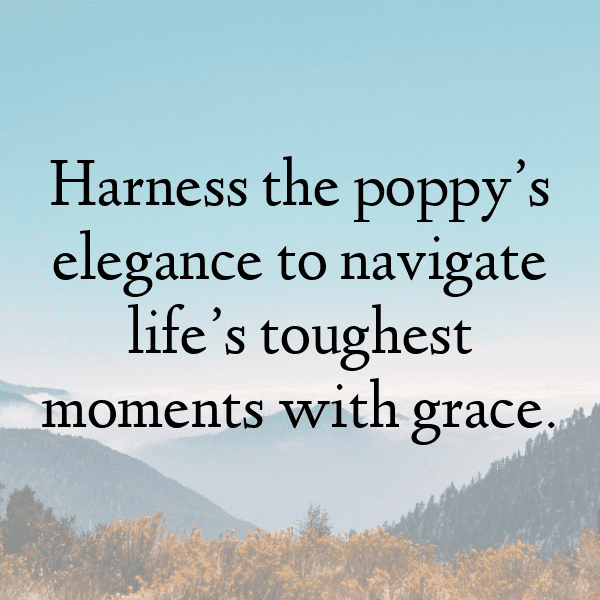 Poppy Captions Photo For Instagram-6hBIdb