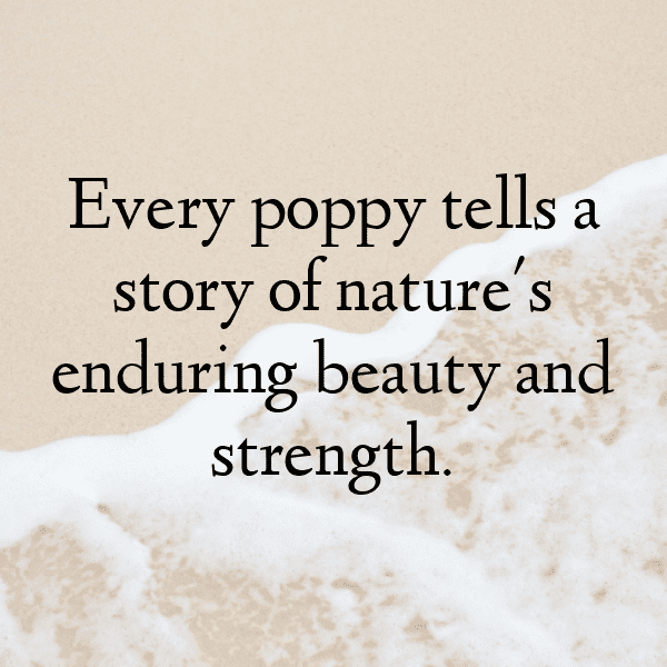 Poppy Captions Photo For Instagram-dcgem2