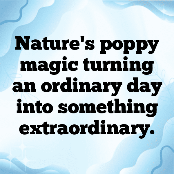 Poppy Captions Photo For Instagram-j3CaoQ