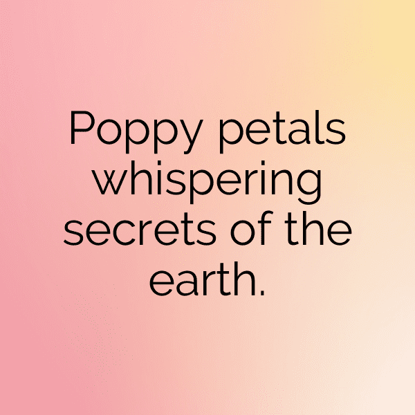Poppy Captions Photo For Instagram-uHCVwd