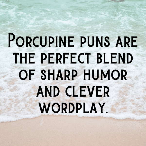 Porcupine Captions Image For Instagram-GTjtuO