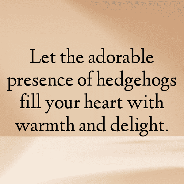 Porcupine Captions Image For Instagram-MjSvC0