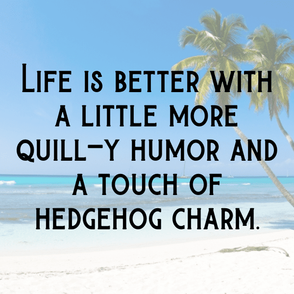 Porcupine Captions Photo For Instagram-9DeUc3