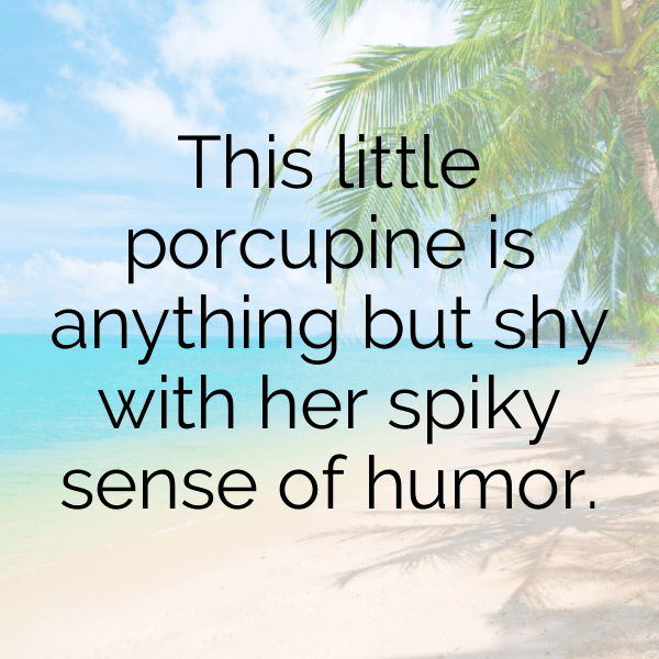 Porcupine Captions Photo For Instagram-fnASYu