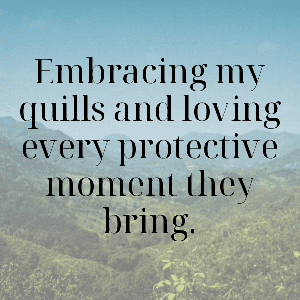 Porcupine Captions Photo For Instagram-rH95w8