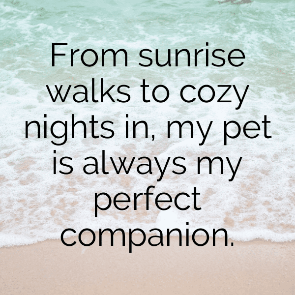 Porcupine Captions Photo For Instagram-wlp2kz