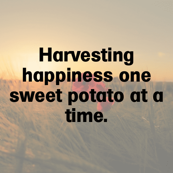 Potato Captions Image For Instagram-gxMHzU