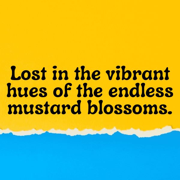 Potherb Mustard Captions Image For Instagram-YTvgPa