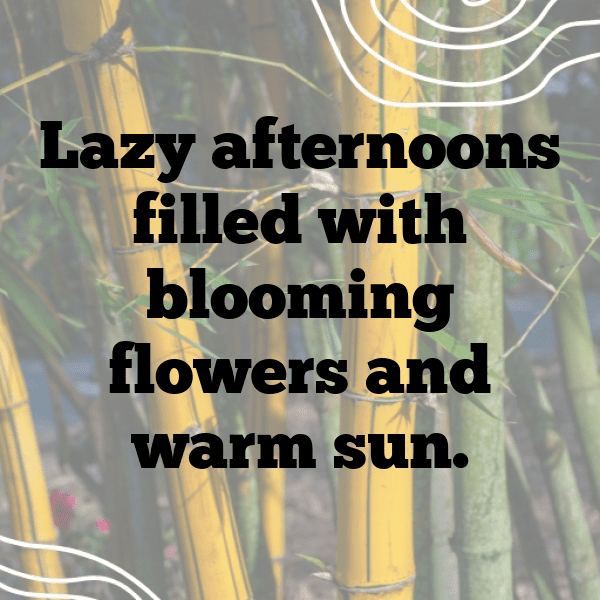 Pouteria Captions Image For Instagram-0j1Kc2