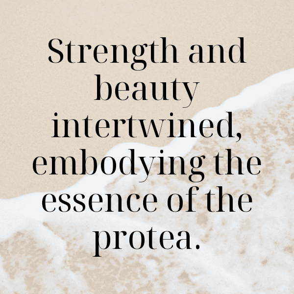 Protea Captions Image For Instagram-JpfSWc