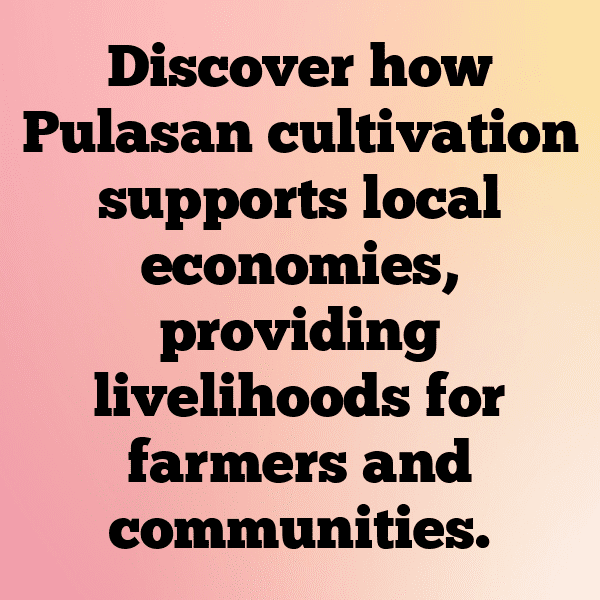 Pulasan Captions Image For Instagram-hJIaC0