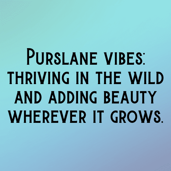 Purslane Captions Photo For Instagram-j2Tl7f