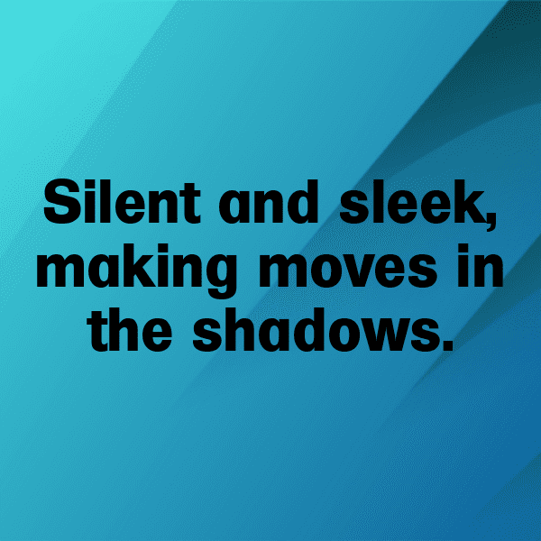 Python Captions Image For Instagram-jtTCfn