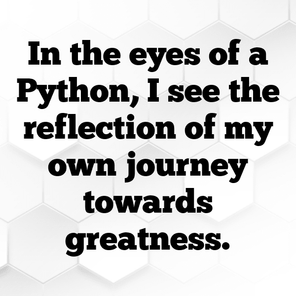 Python Captions Photo For Instagram-Kk4xEZ