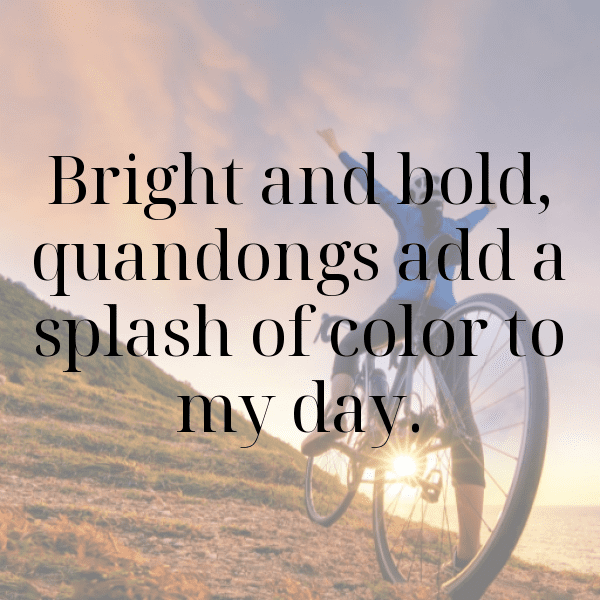 Quandong Captions Image For Instagram-MTpAVd