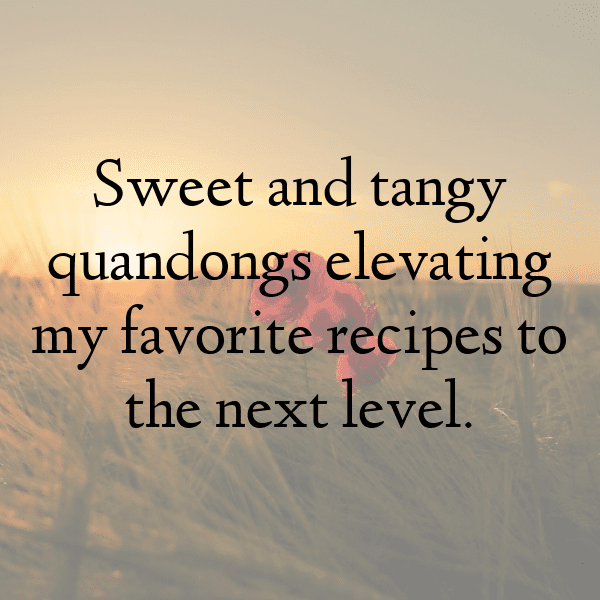 Quandong Captions Image For Instagram-pWtUsT