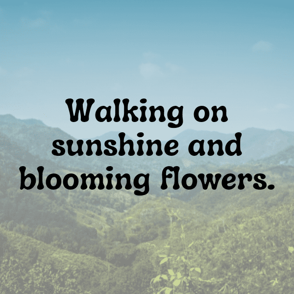 Quandong Captions Image For Instagram-w15IM9