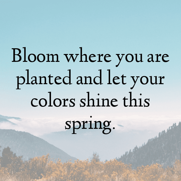 Quandong Captions Photo For Instagram-03oS8S