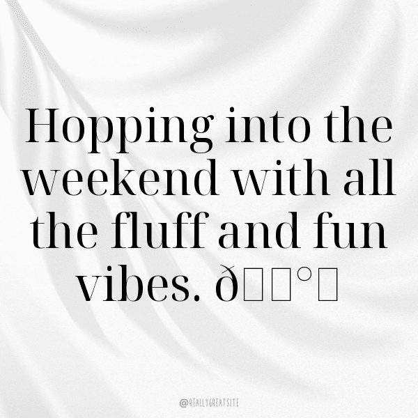 Rabbit Captions Image For Instagram-e4niaP