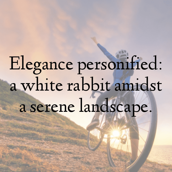 Rabbit Captions Image For Instagram-gckPjA