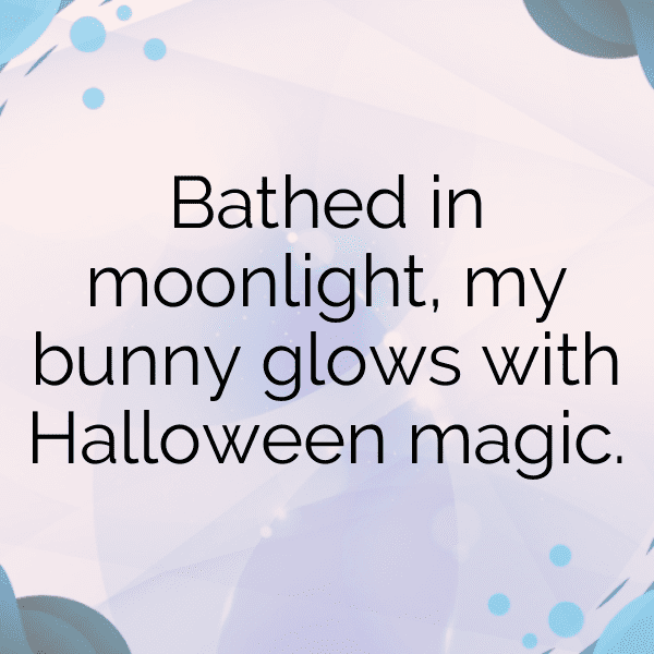 Rabbit Captions Image For Instagram-iOKTYj