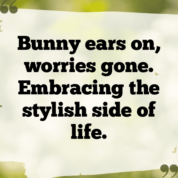 Rabbit Captions Image For Instagram-KPnfr7