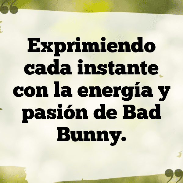 Rabbit Captions Photo For Instagram-9nyoD3