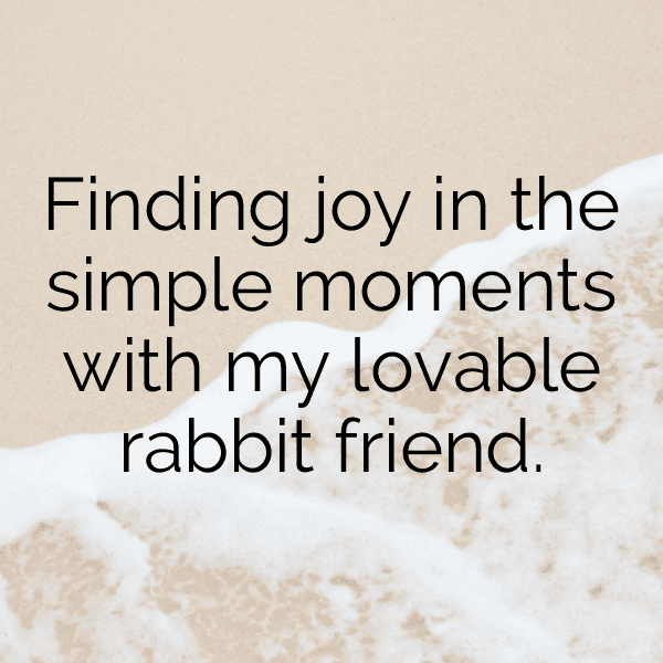 Rabbit Captions Photo For Instagram-Ks5m5N