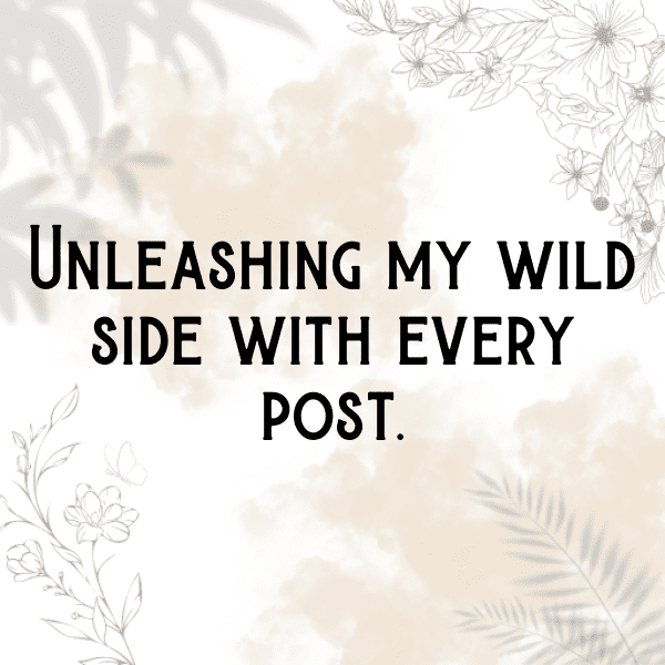 Rabbit Captions Photo For Instagram-r5ln7U