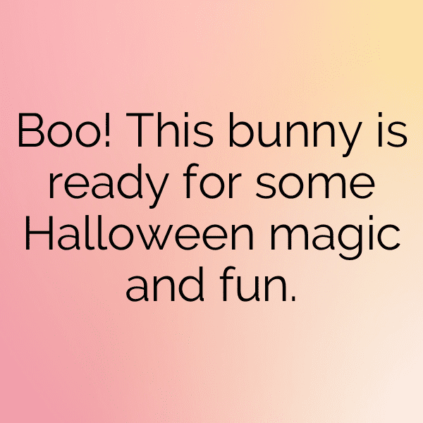 Rabbit Captions Photo For Instagram-TFqZTb