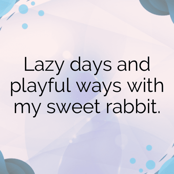 Rabbit Captions Photo For Instagram-tqpKJm
