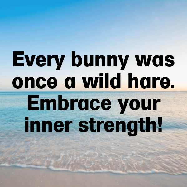 Rabbit Captions Photo For Instagram-ubXAUf