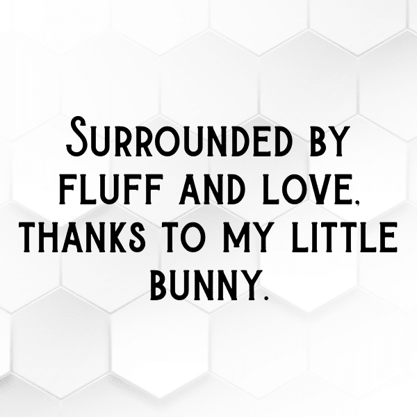 Rabbit Captions Photo For Instagram-wsveBu