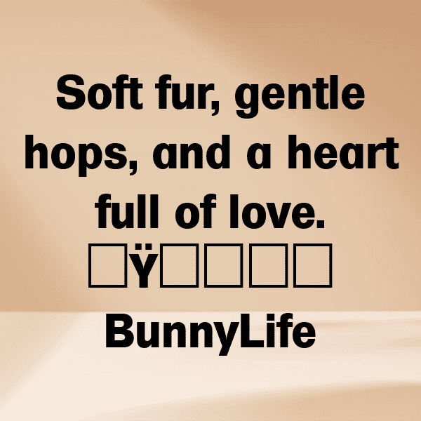 Rabbit Captions Photo For Instagram-X7oKbl