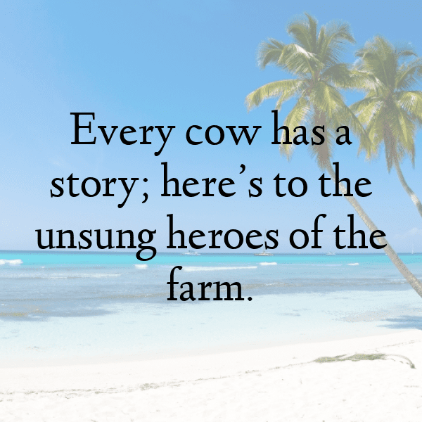 Raccoon Captions Image For Instagram-JBlWTQ