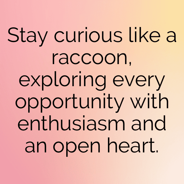 Raccoon Captions Image For Instagram-m2yV6w