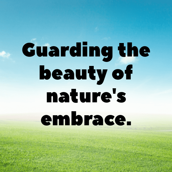 Raccoon Captions Photo For Instagram-rQ9YLY