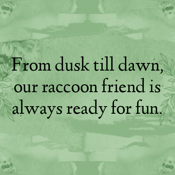 Raccoon Captions Photo For Instagram-tdzLN4