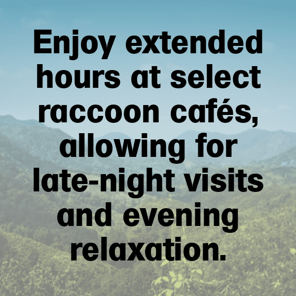 Raccoon Captions Photo For Instagram-thO2P8