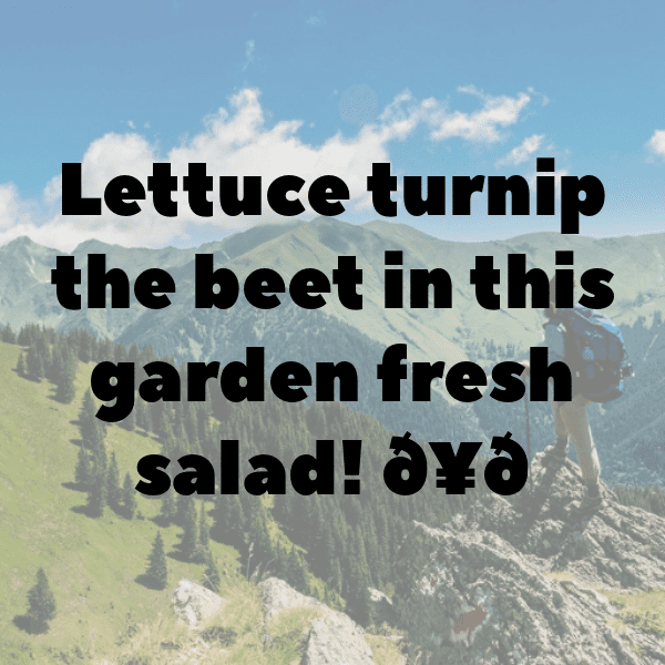 Radish Greens Captions Photo For Instagram-8UEXBI