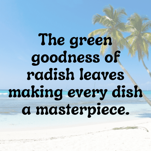 Radish Greens Captions Photo For Instagram-BJvt2A