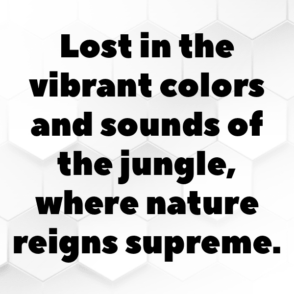 Rainforest Captions Image for Instagram-5rkvaY