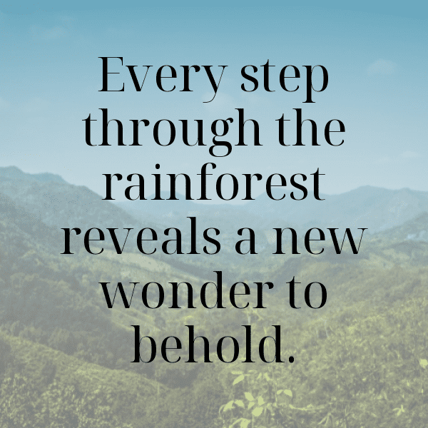 Rainforest Captions Image for Instagram-BgAFYS