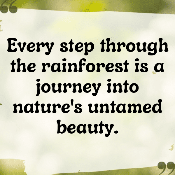 Rainforest Captions Image for Instagram-U3gLm5