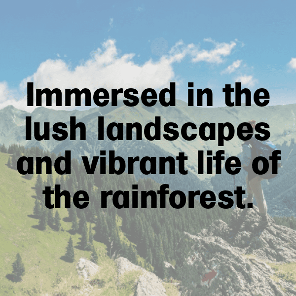 Rainforest Captions Photo for Instagram-4gVOzt